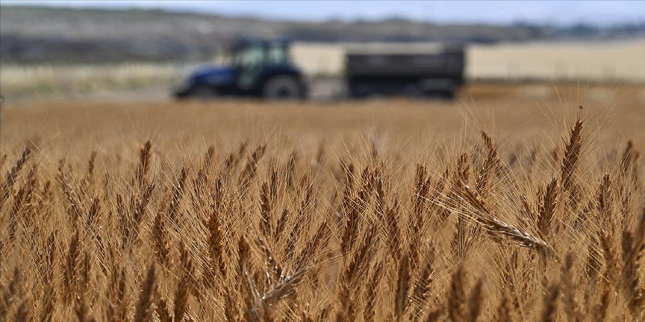 Türkiye dünyada ilk 7 ülke arasına girdi