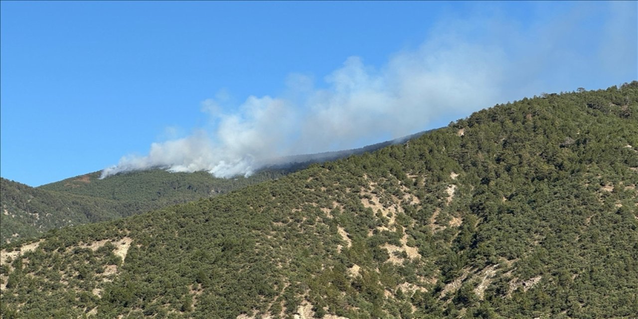 Çankırı'nın Ilgaz ilçesinde ormanlık alanda çıkan yangın kontrol altına alındı