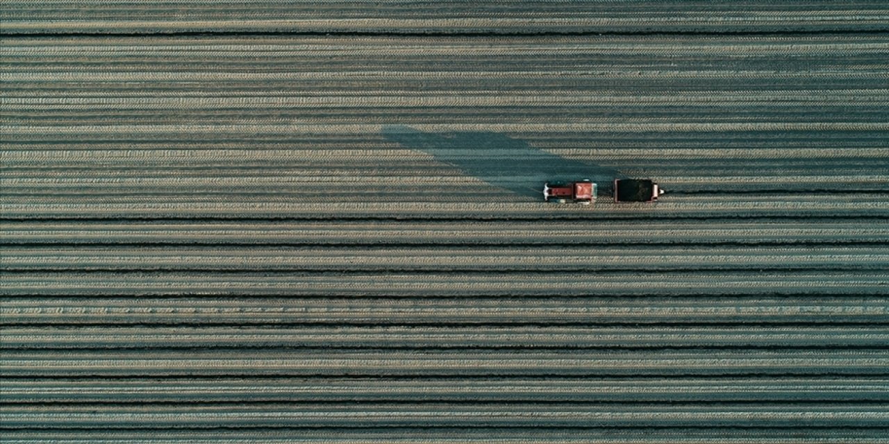 Tarımsal amaçlı örgütlerin derecelendirilmesine ilişkin esaslar düzenlendi