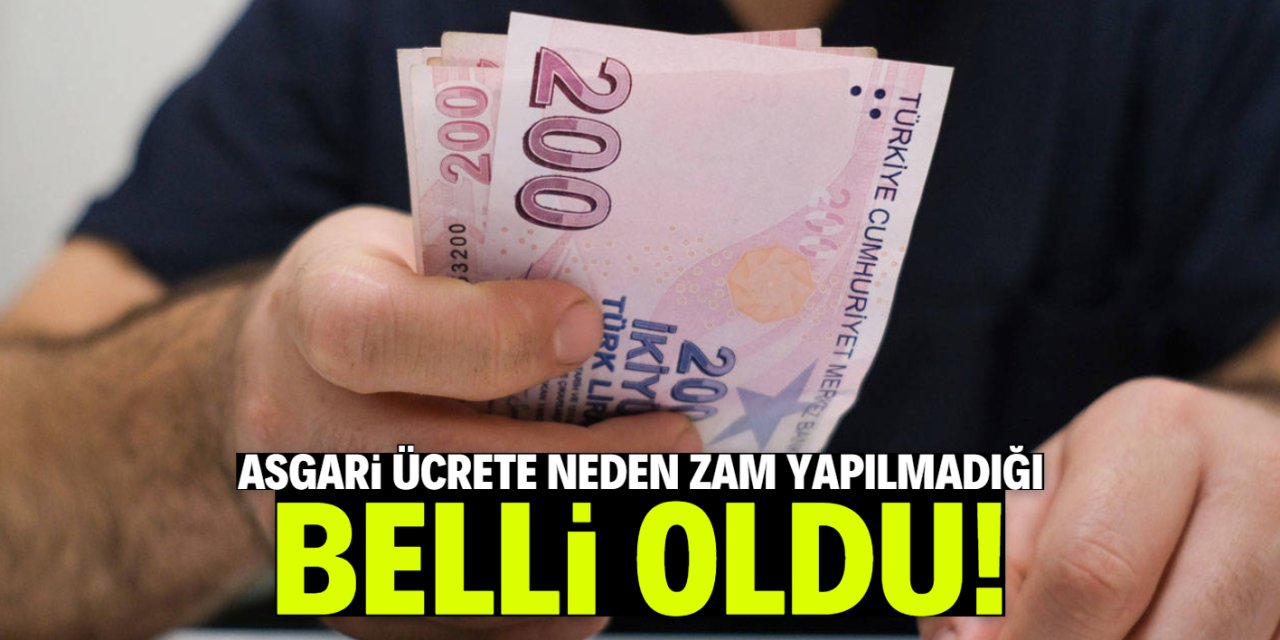Asgari ücrete neden zam yapılmadığı belli oldu! Haklı bir gerekçesi var