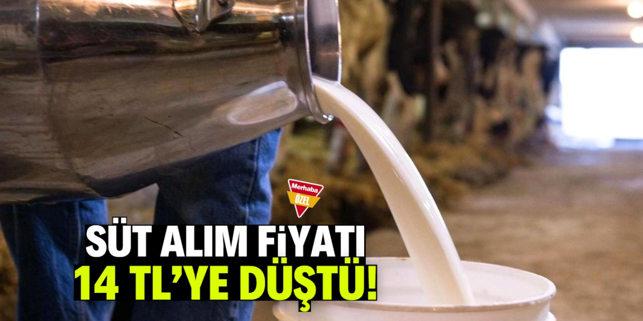 Süt alım fiyatı 14 TL'ye düştü! Sanayici bunu bahane ediyor
