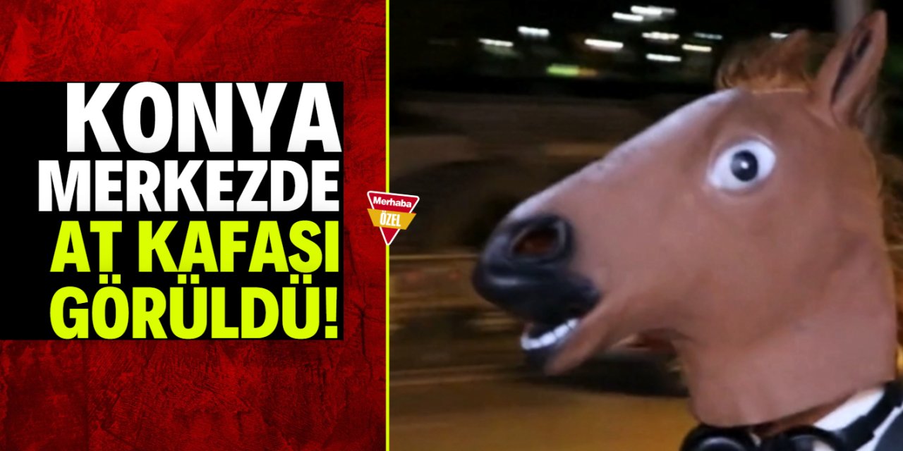 Konya merkezde at kafası görüldü! İşte olayın perde arkası