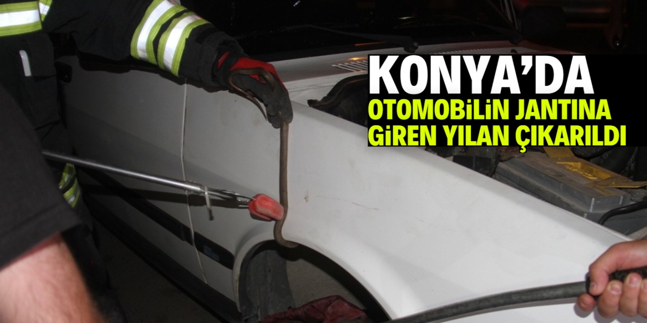 Konya'da otomobilin jantına giren yılanı böyle çıkardılar