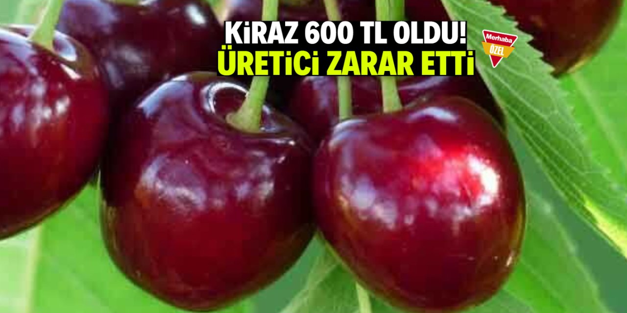 Kiraz 600 TL oldu! Üretici zarar etti