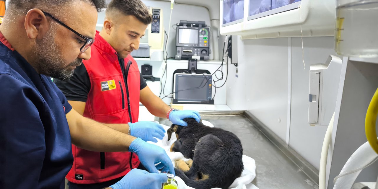 Ardıçlı TOKİ'de kurtarma operasyonu