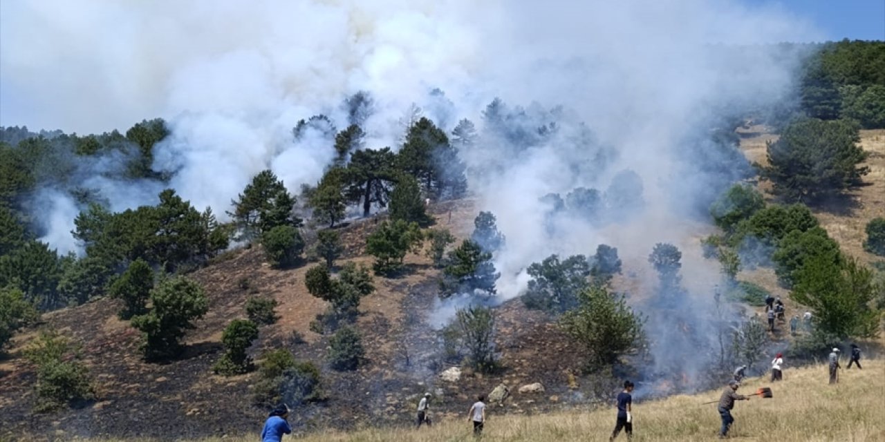 Konya'da çıkan orman yangınına müdahale ediliyor