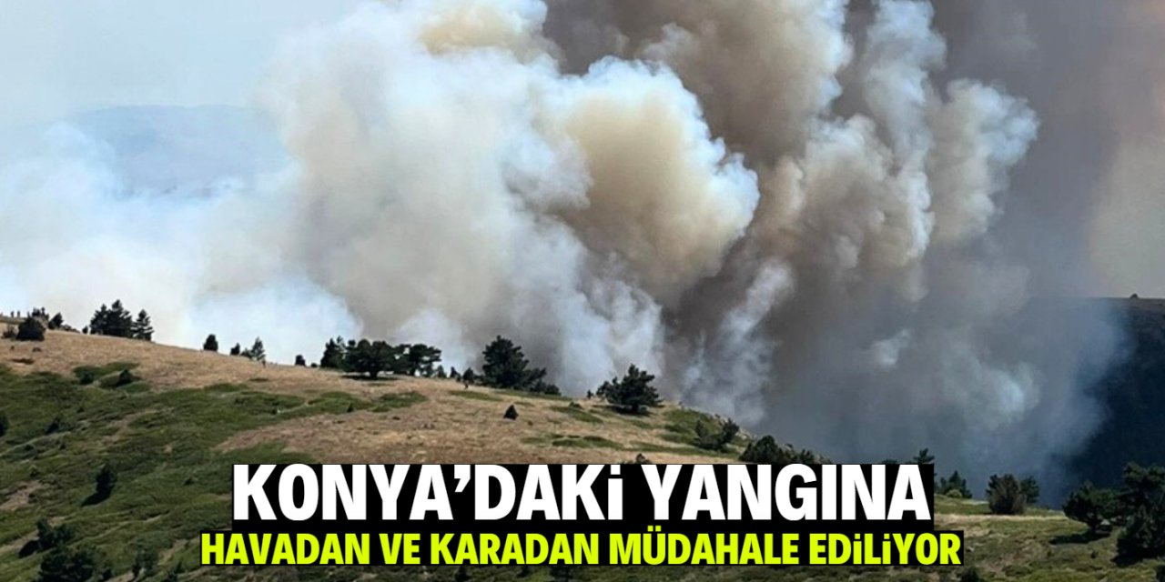 Konya'da çıkan orman yangınına müdahale ediliyor