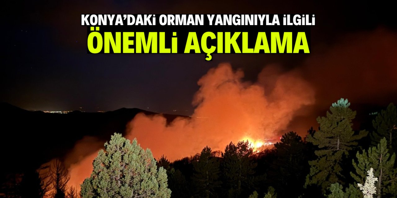Konya'da çıkan orman yangınına müdahale ediliyor