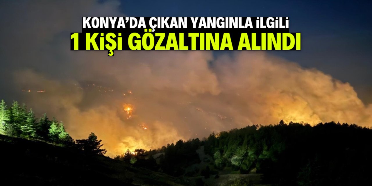 Konya'da çıkan orman yangınıyla ilgili 1 kişi gözaltına alındı