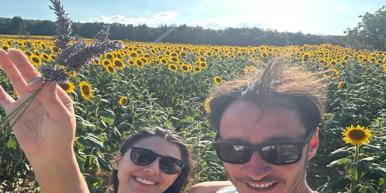 Ayçiçekleri fotoğrafçıların ilgi odağı oldu