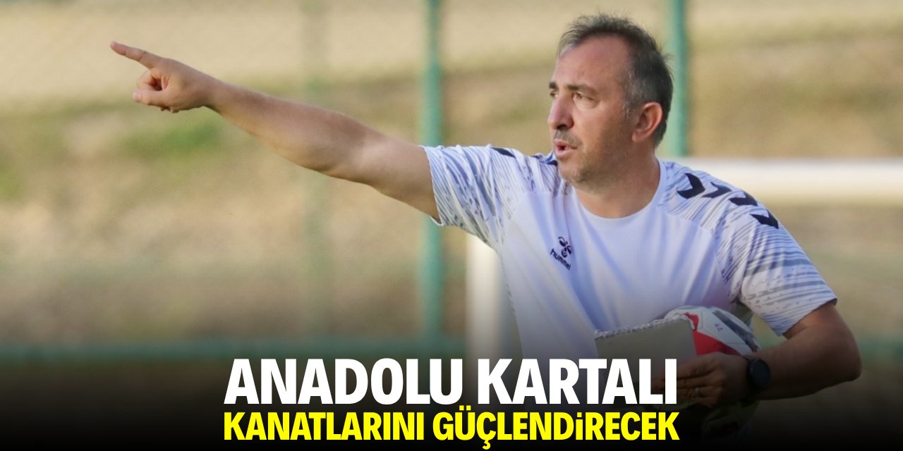 Anadolu Kartalı kanatlarını güçlendirecek