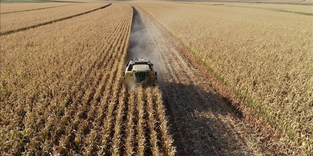 Tarımsal enflasyonda artış sürüyor