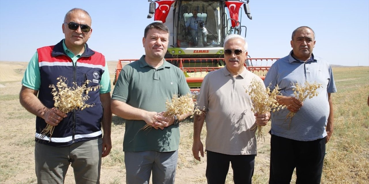 Belediyenin nohutları yoksullara dağıtılacak