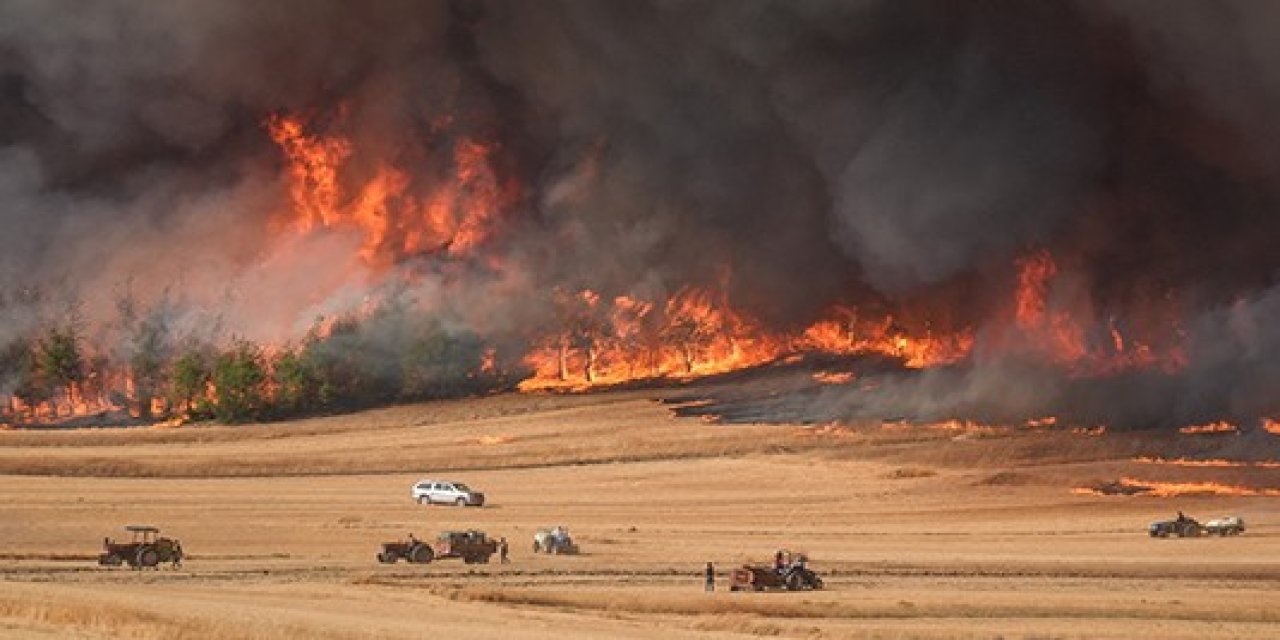 Yangın Sakarya'dan Bilecik'e sıçradı