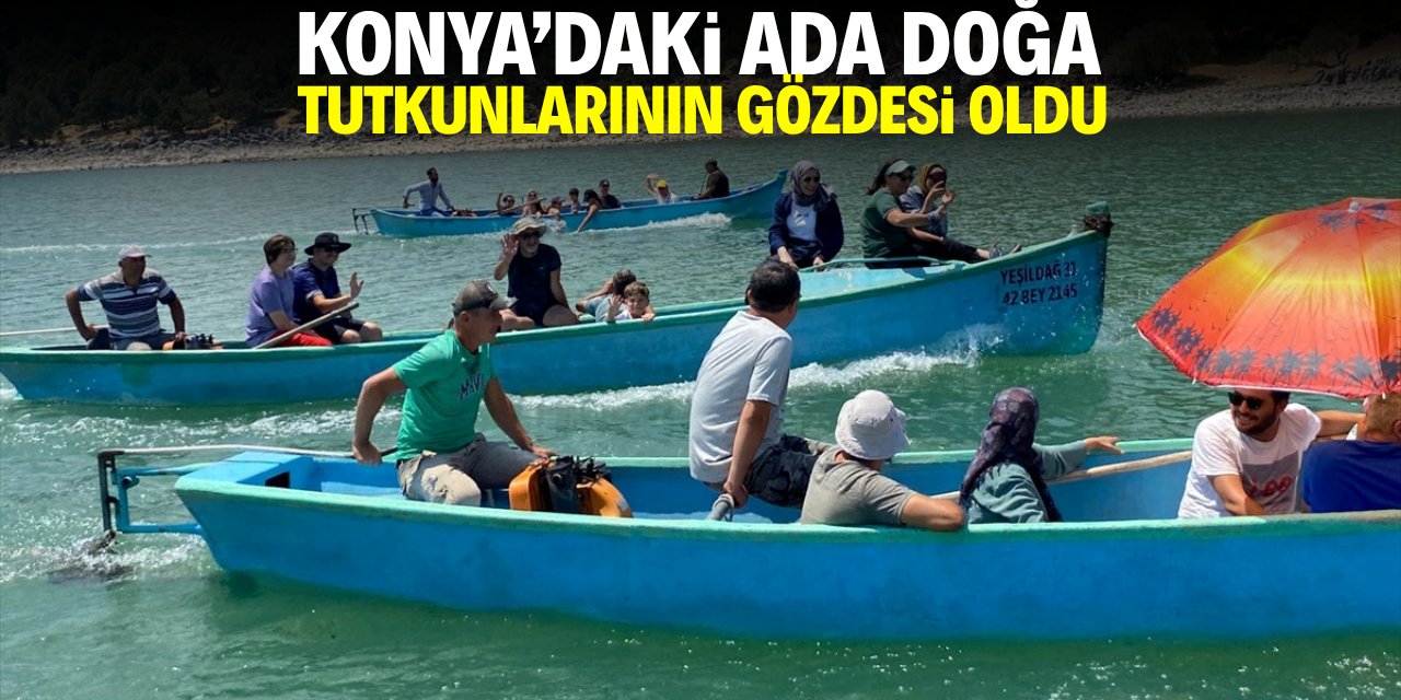 Konya'daki ada doğa tutkunlarının gözdesi oldu