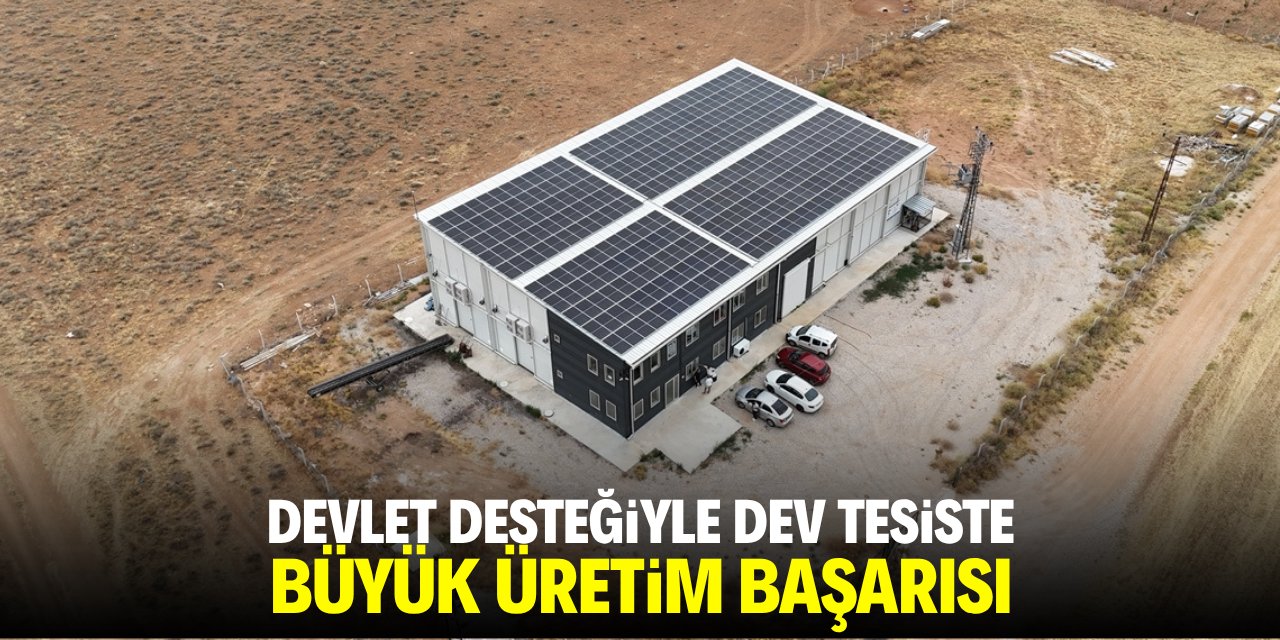 Devlet desteğiyle dev tesiste büyük üretim başarısı