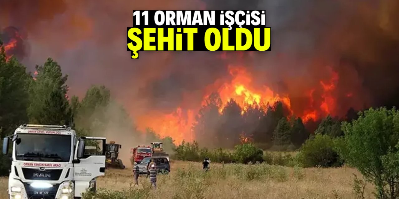 11 orman işçisi şehit oldu