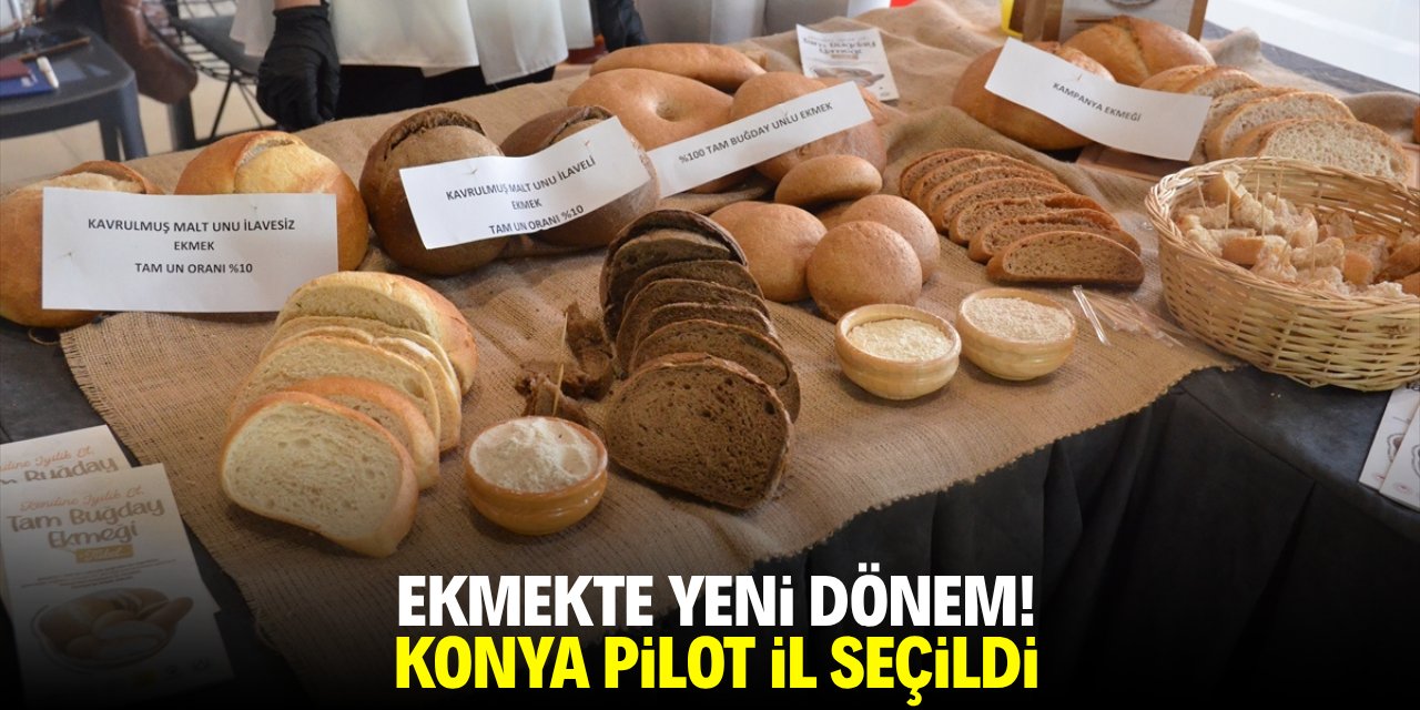 Gıdada yeni dönem! Konya pilot il seçildi