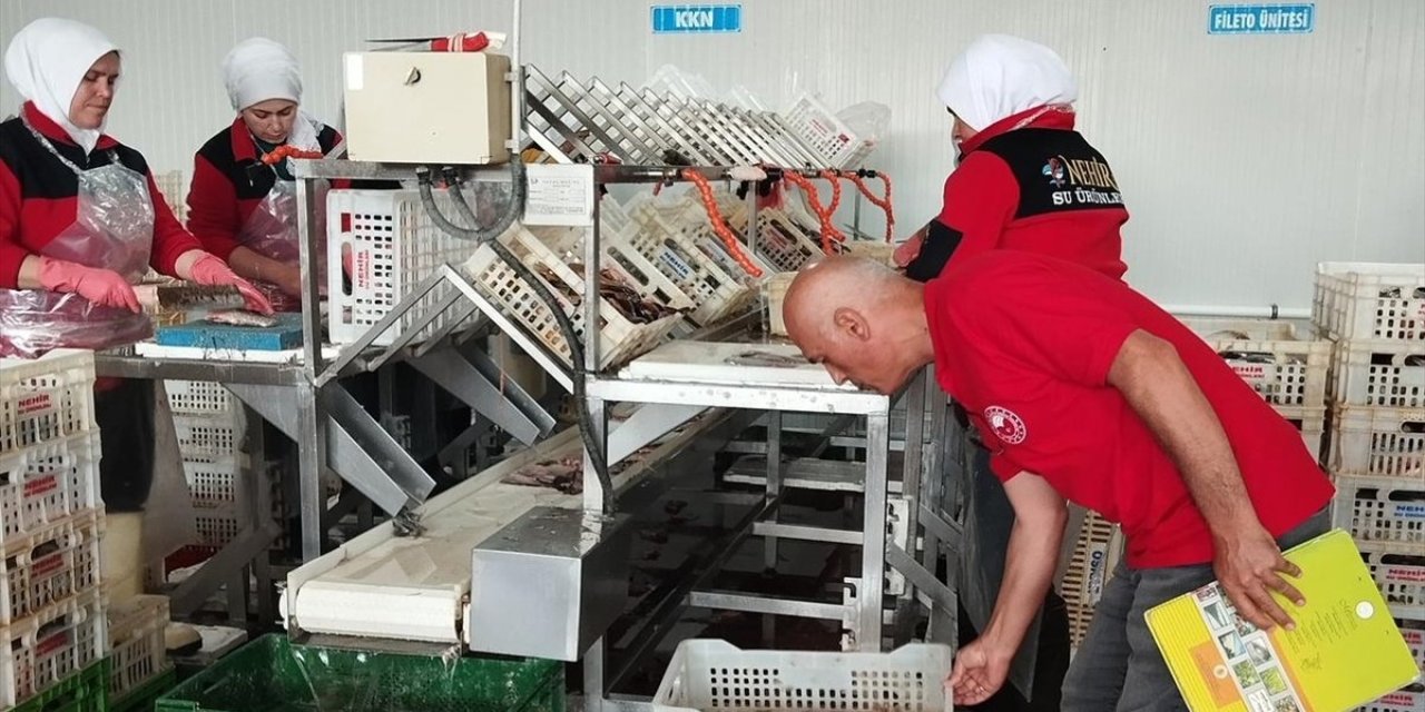 Av sezonunun başlamasıyla denetimler arttı