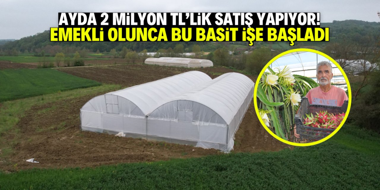 Ayda 2 milyon TL'lik satış yapıyor! Emekli oldu, bu kolay işe başladı