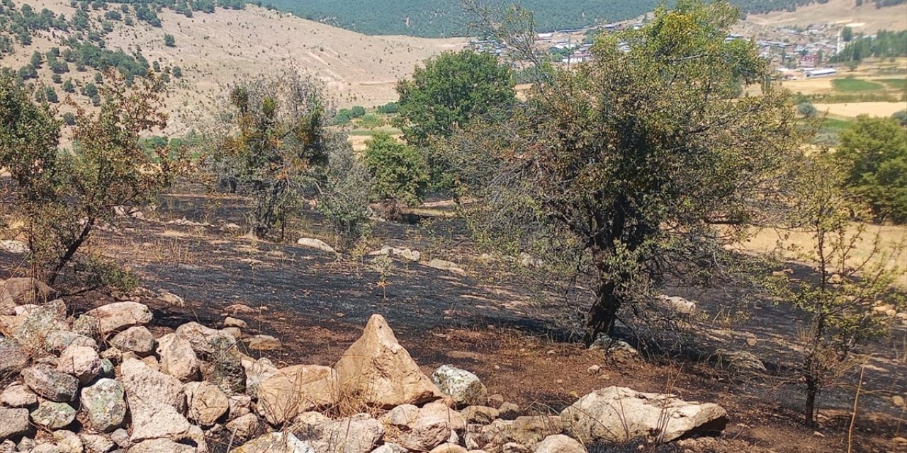 Seydişehir'deki yangında ormanlık alanlar kül oldu