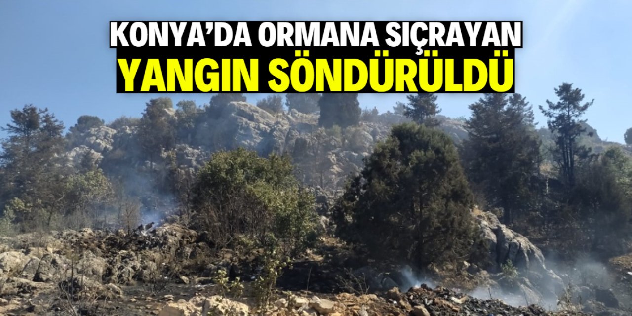 Konya'da ormana sıçrayan yangın söndürüldü