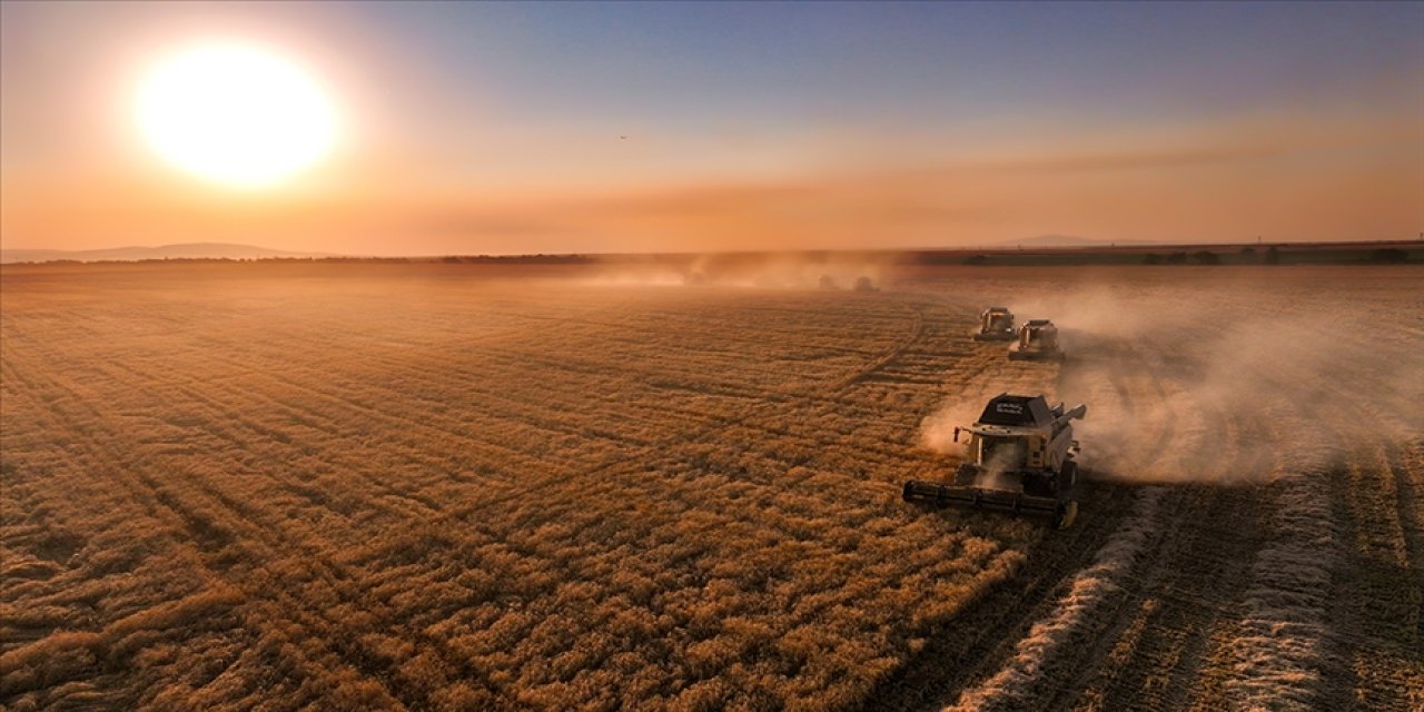 Çiftçilere yaklaşık 827 milyon lira tarımsal destekleme ödemesi yapılacak