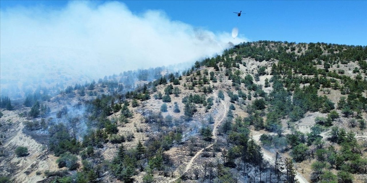 Eymir Gölü yakınlarındaki ormanlık alanda yangın çıktı