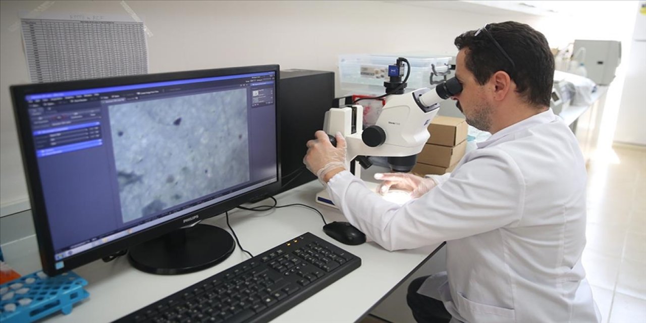 Marmara Denizi'nde mikroplastik ve ağır metallerin etkisi araştırılıyor