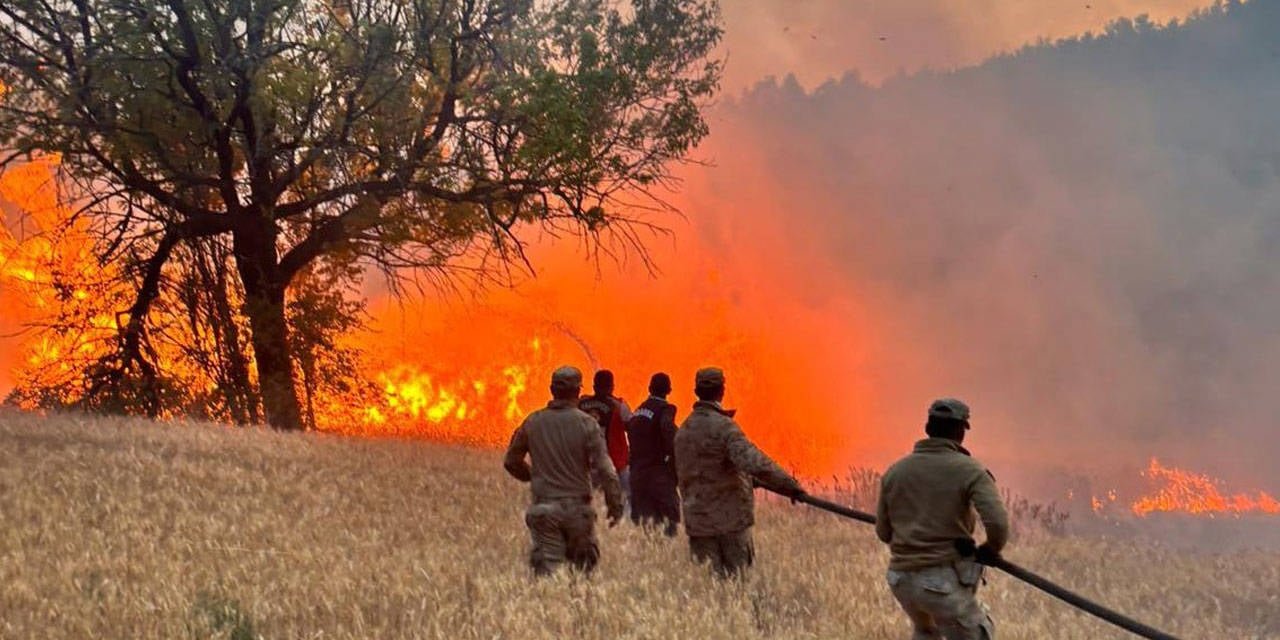 Yangınlara ilişkin 97 şüpheliye işlem yapıldı