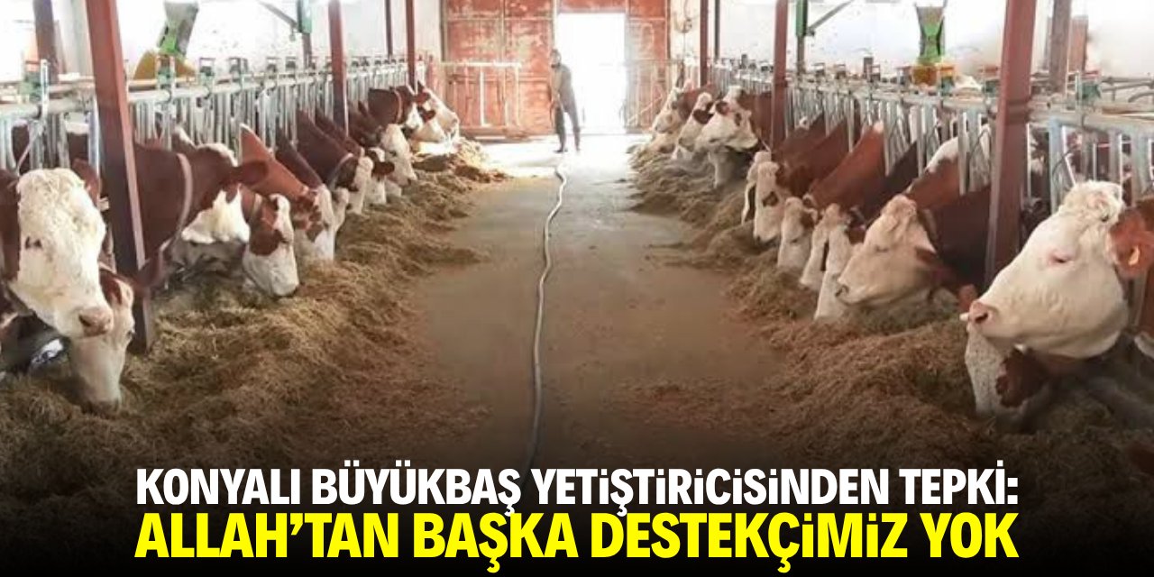 Konya’da büyükbaş yetiştiricisinden tepki: Allah'tan başka destekçimiz yok