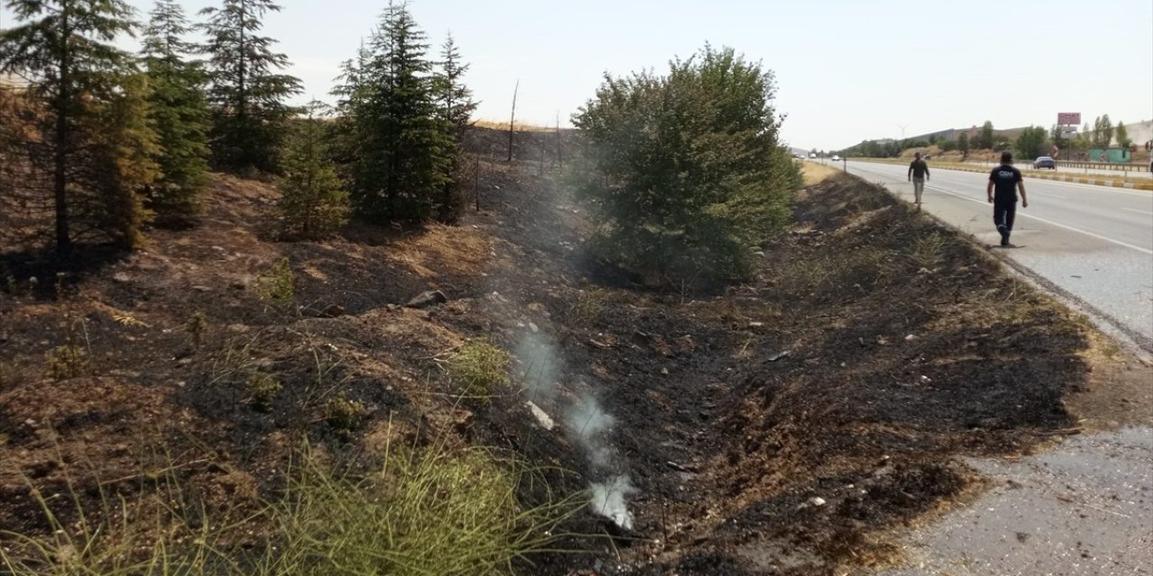 Sarayönü'ndeki yangında ağaçlar zarar gördü