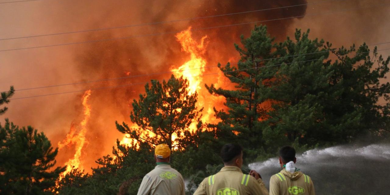 Yangınlardan etkilenen üç ile 10 milyon lira destek