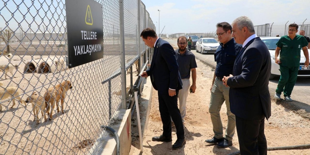 Akın ve Kılca'dan hayvan bakımevine ziyaret