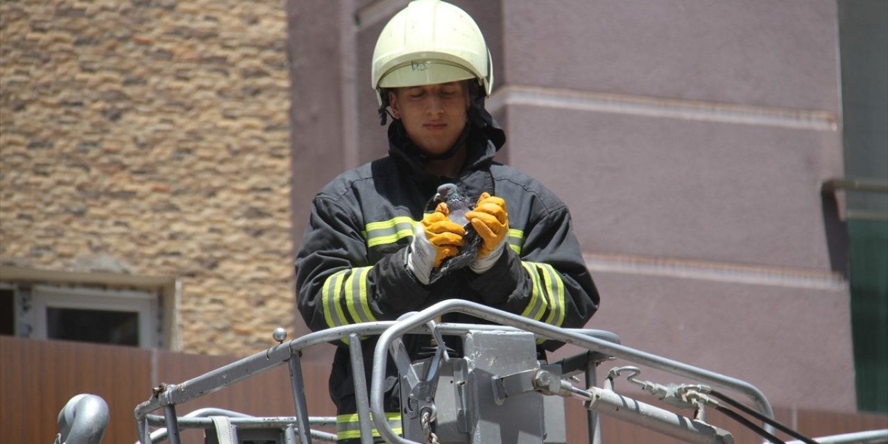 Pencere boşluğuna sıkışan güvercin kurtarıldı