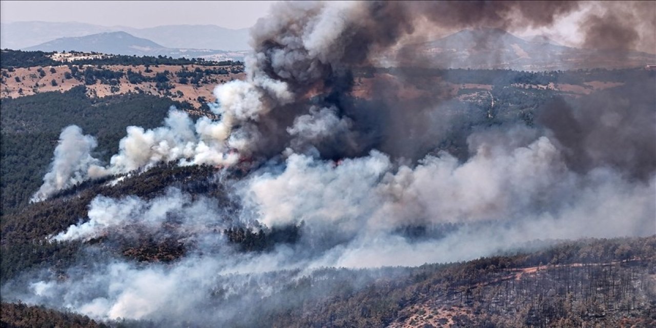 Orman yangınlarında 132 birimde ağır hasar