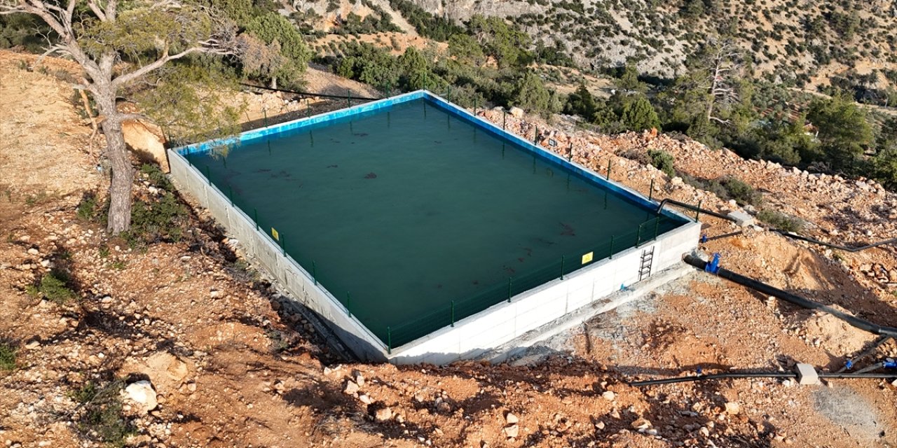 Kuruyan zeytinliklere devletten sulama desteği