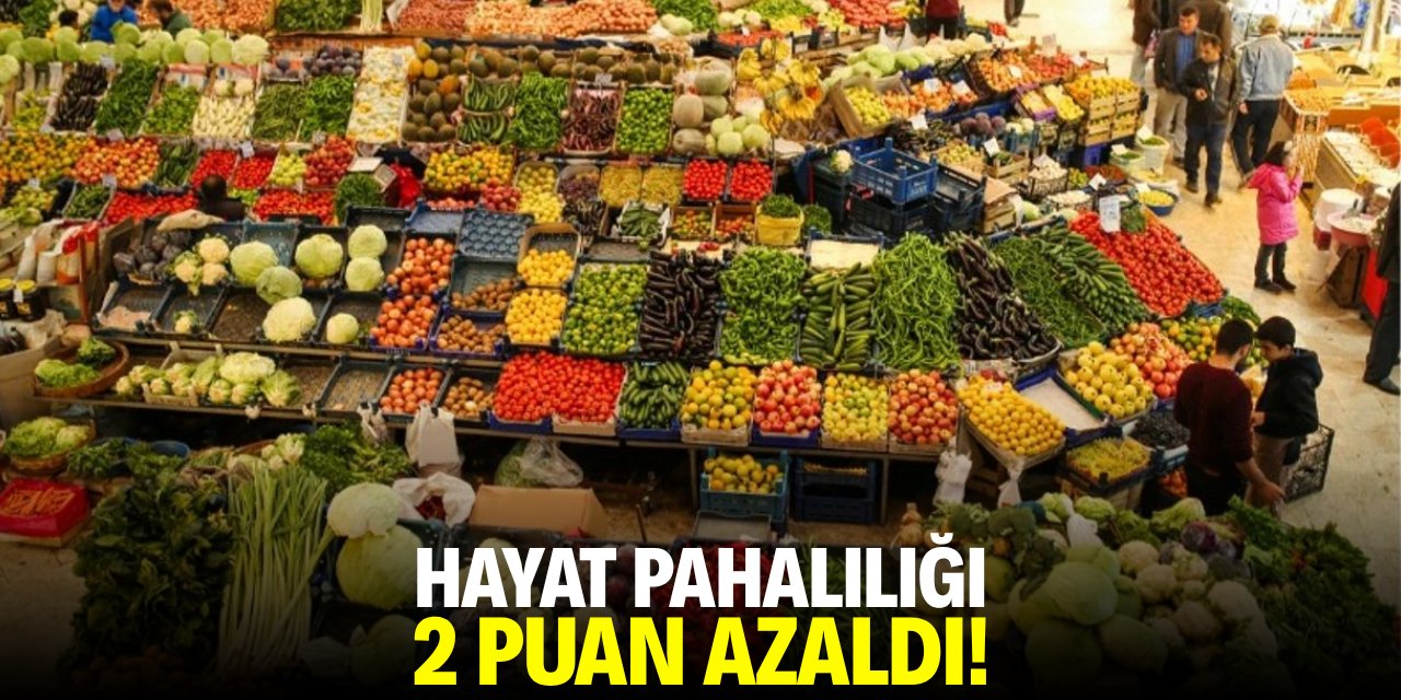 Hayat pahalılığı 2 puan azaldı!