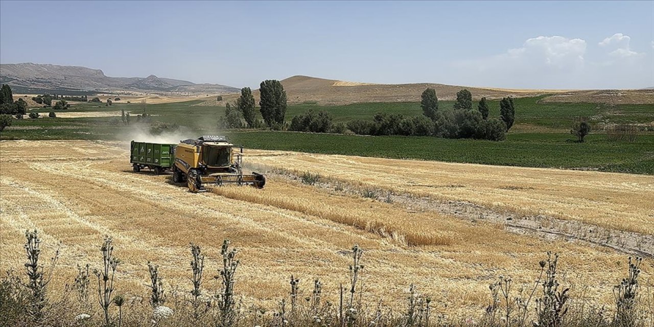 Ekili tarım arazisi yüzde 22 artan Kayseri'de üretici sayısı 32 bine ulaştı