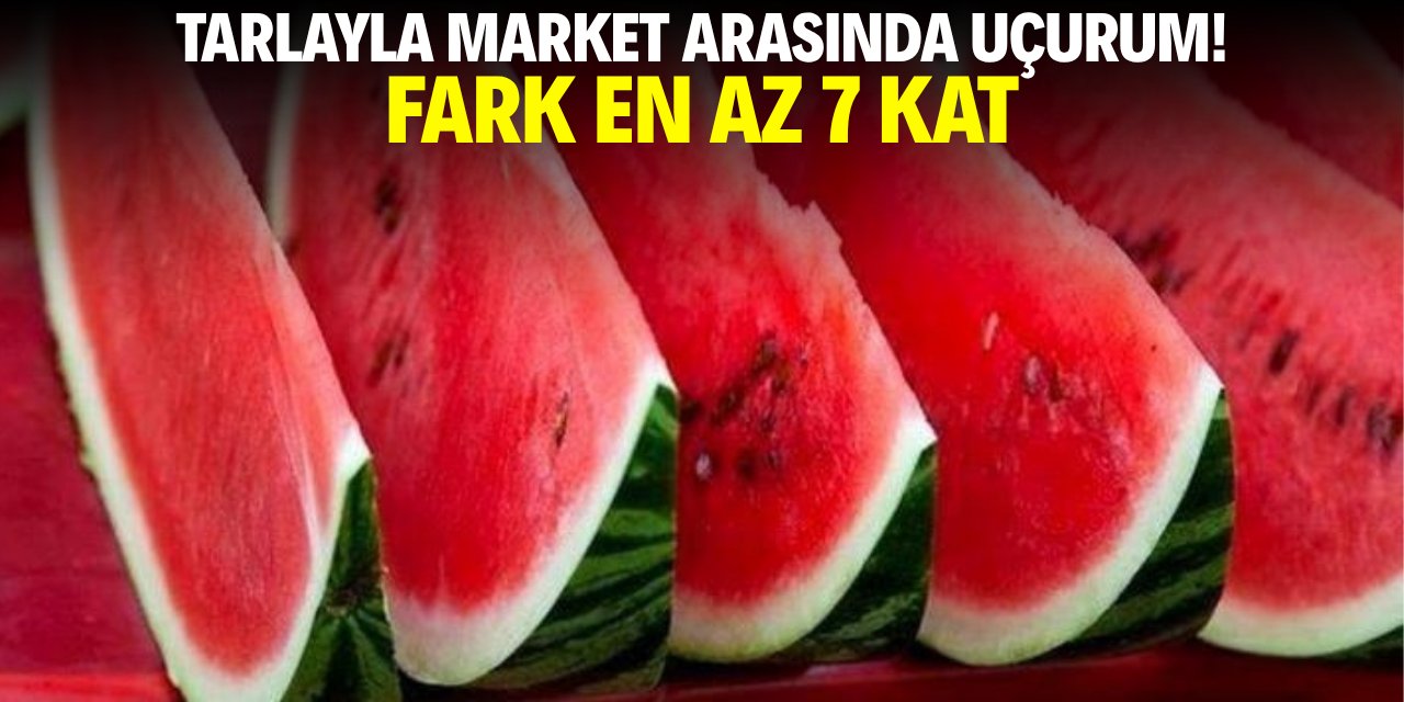 Tarlayla market arasında uçurum! Fark en az 7 kat