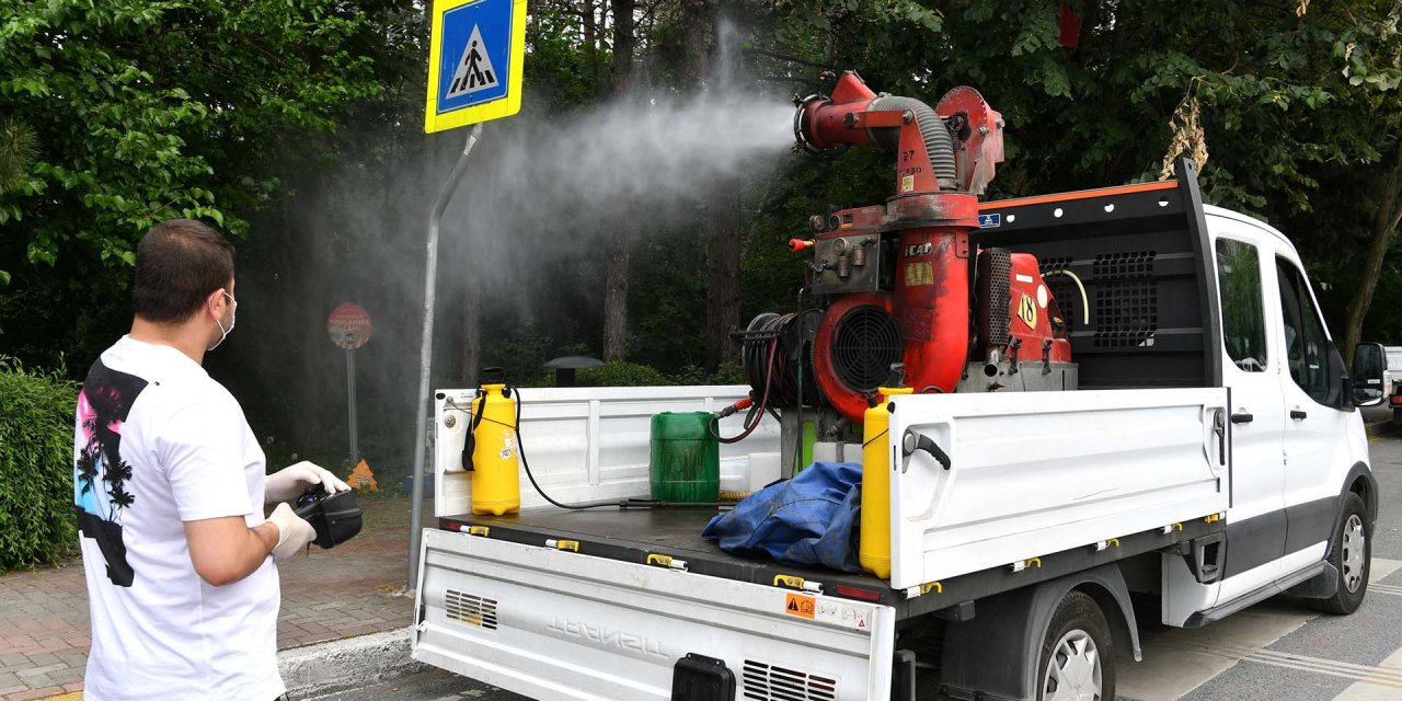 Konya'da sinek istilası vatandaşı bezdirdi
