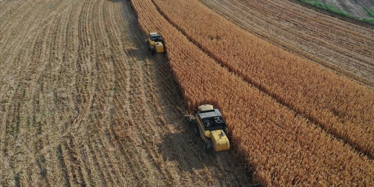 Çiftçilere ödenen destek miktarı belli oldu