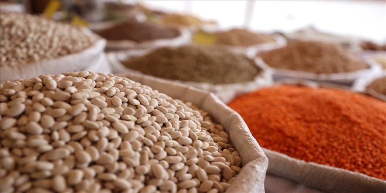 Türkiye'den yılın 7 ayında 7,1 milyar dolarlık hububat ihracatı yapıldı