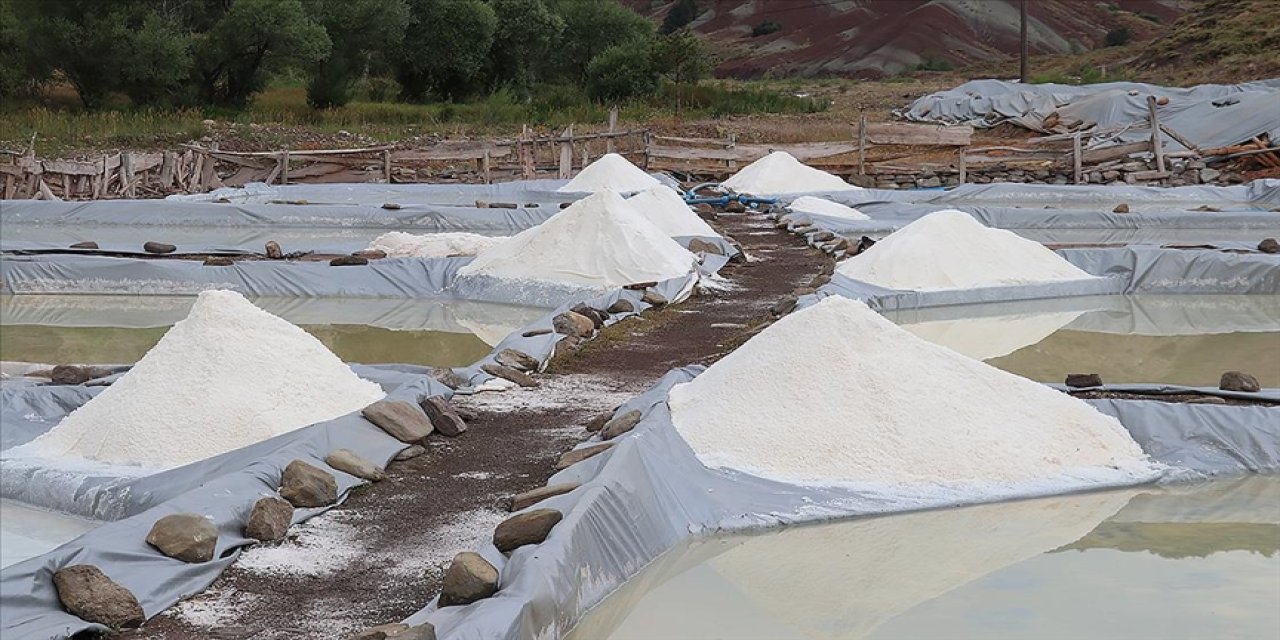 Sivas Japonya'nın yemeklerine lezzet katıyor