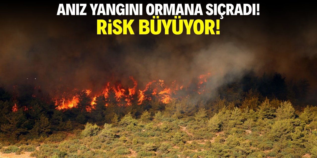 Anız yangını ormana sıçradı! Risk büyüyor