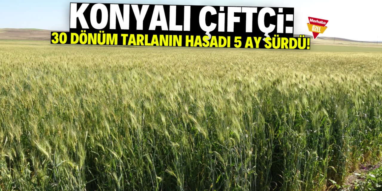 Konyalı çiftçi İsmail Er: 30 dönümlük tarlanın harmanı 5 ay sürdü!