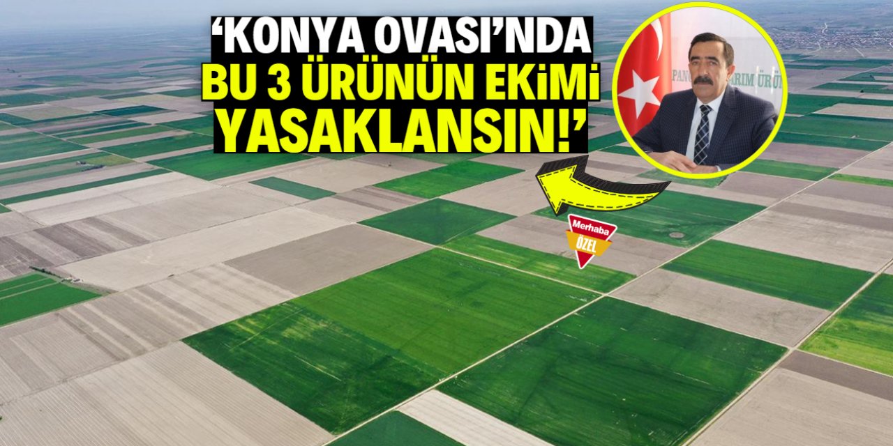Konya Ovası'nda 'bu 3 ürünün ekimi yasaklansın' önerisi!