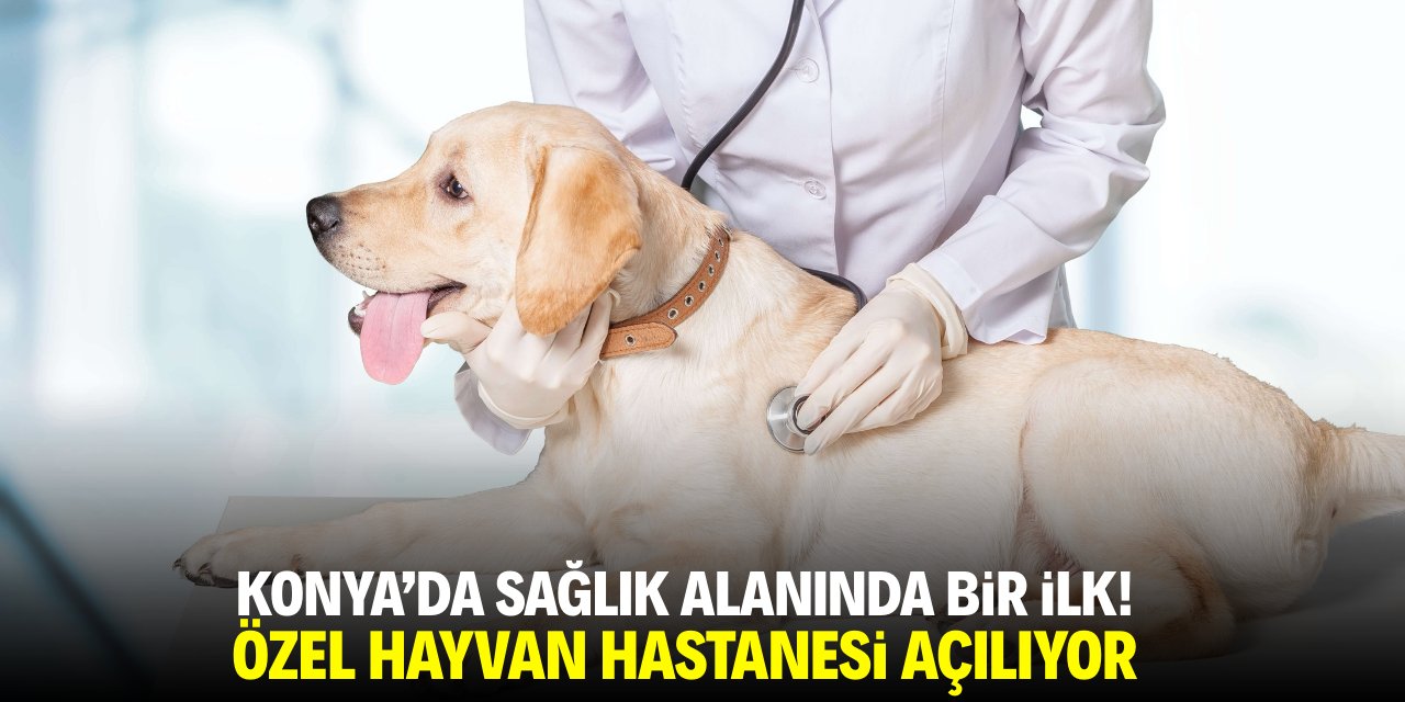 Konya'da sağlık alanında bir ilk! Özel hayvan hastanesi açılıyor