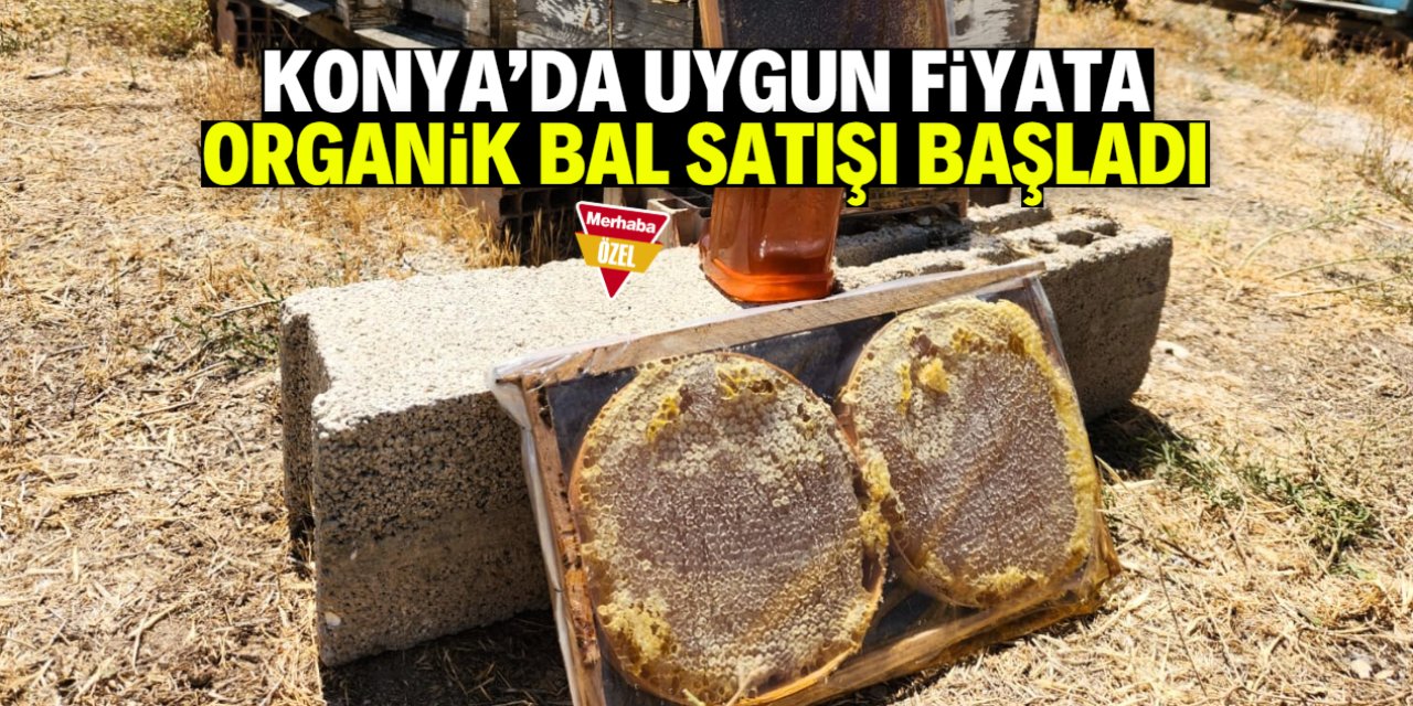 Konya'da uygun fiyatlı organik bal satışı başladı