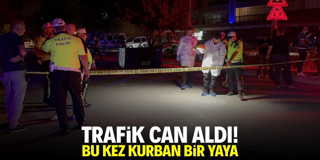 Trafik can aldı! Bu sefer kurban bir yaya